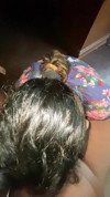 Pratinjau video