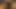 Malay Gay Bear Massages His Dick with Hang Padu Oil