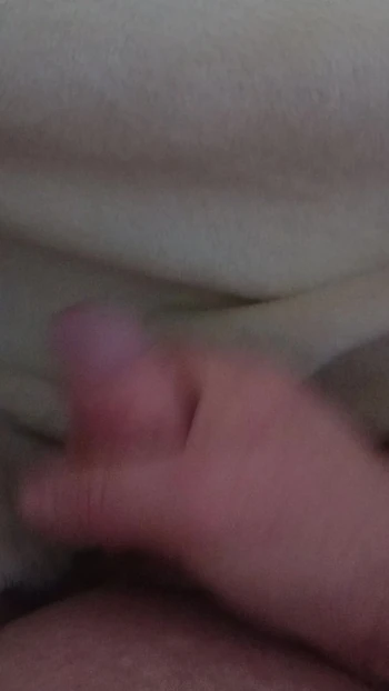 Shaved