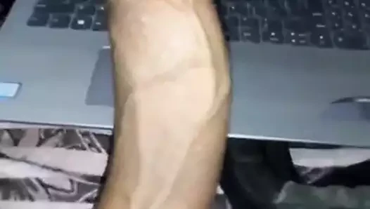 shree için başka bir haraç