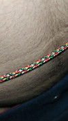 Pregled videozapisa