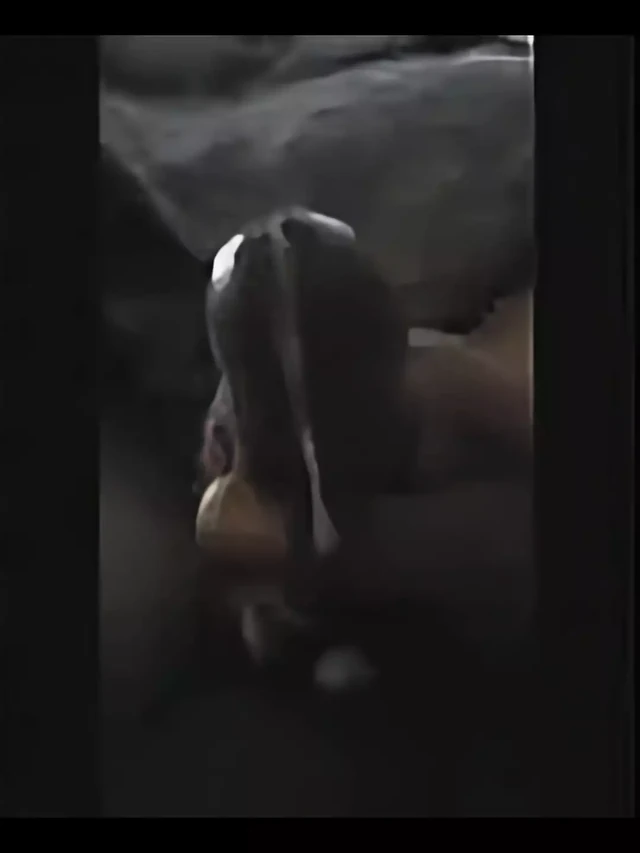 Bbc daddy standing