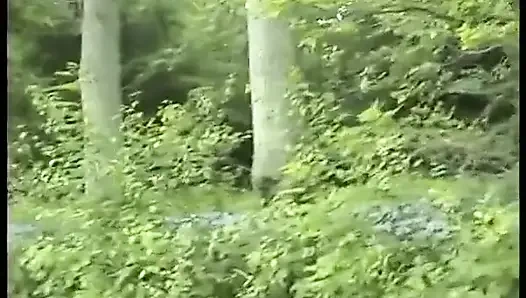 A Blonde Bitch Gets Caught on the Side of the Road