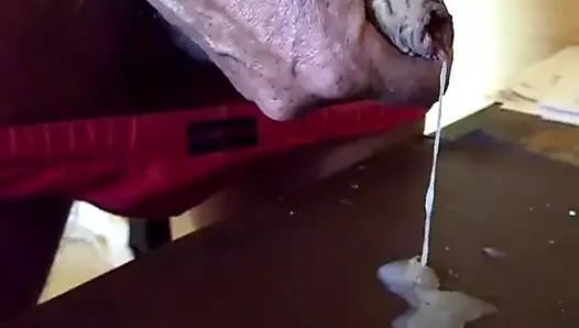 Dölüm