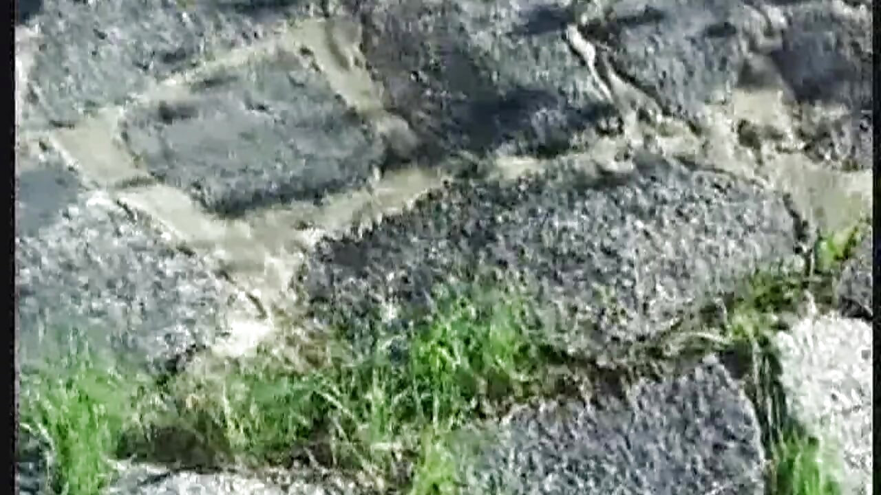 Milf excitată cu degetele pizdă picurând și pișare în baie Frenezie