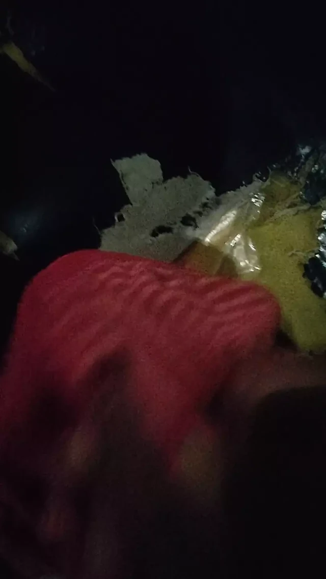 I fuck my sister panties