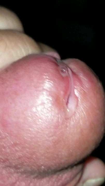 Dripping Precum