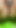 Playing with Wet Hairy Pussy. Look What Happened in the End 4K 60 Fps