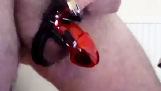 benim horoz kafes çalışıyorum