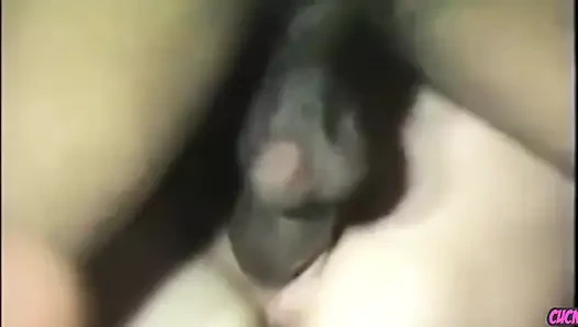 Cuckold milf - istri yang selingkuh