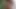 Indian Desi Girl Jungle Sexx - Viral MMS