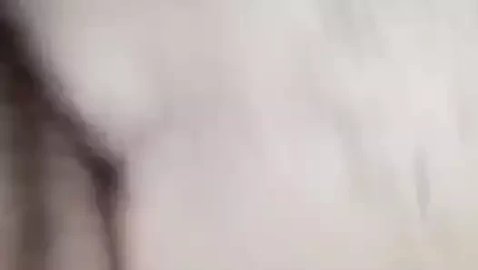 Vai giu a pecora