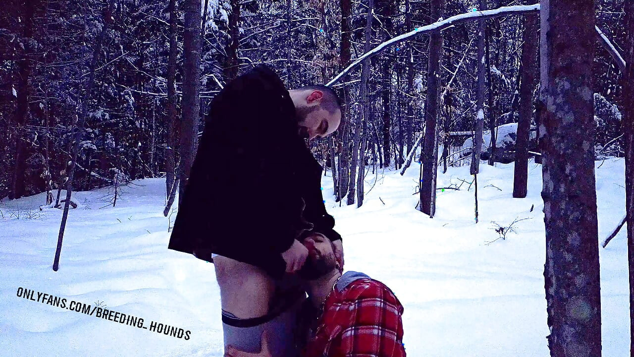 Two bearded pig playing with their cock in the snowy fields.