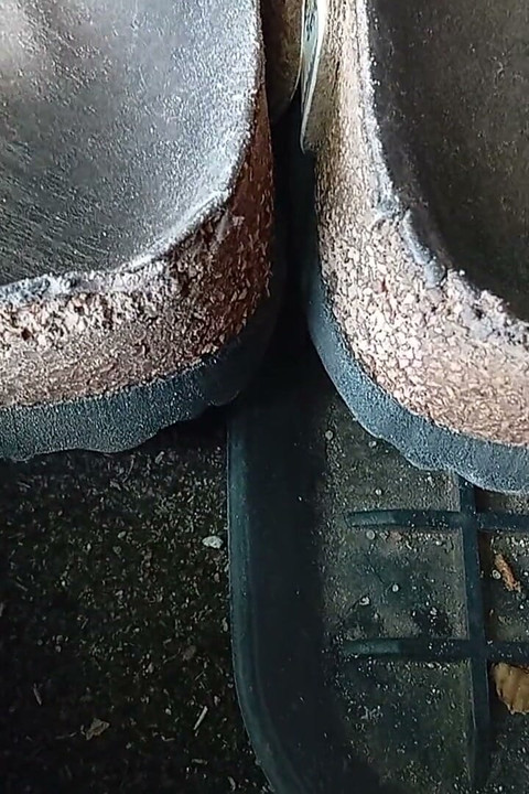 Pedaling with Birkenstock Shoes