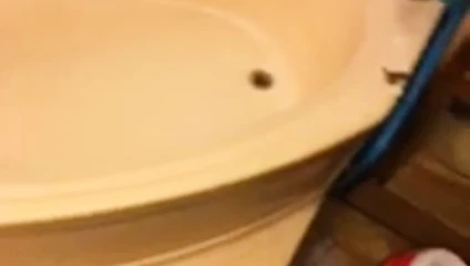 sadece gösteriş yapmak