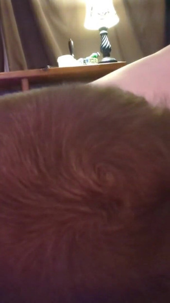 Memorable moment from "BBW In Thong Panties Wants Her Hairy Pussy & Ass Worshiped JOI"