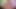 Oiled shaved uncut big cock edging cumshot 799