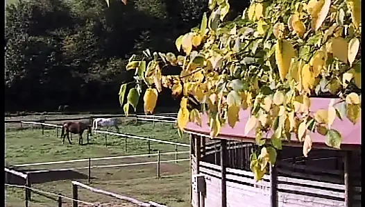 Анальные желания шлюшки в течке