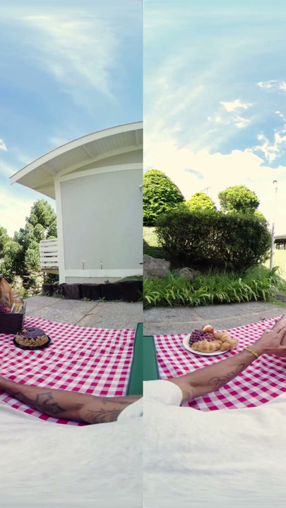 She Wants Picnic, I Give Her a Creampie - Virtual Real Porn | Clip 1