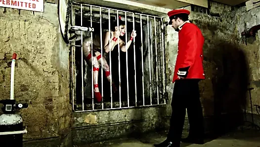 Nasty French bitch in nylon gets drilled in the dungeon