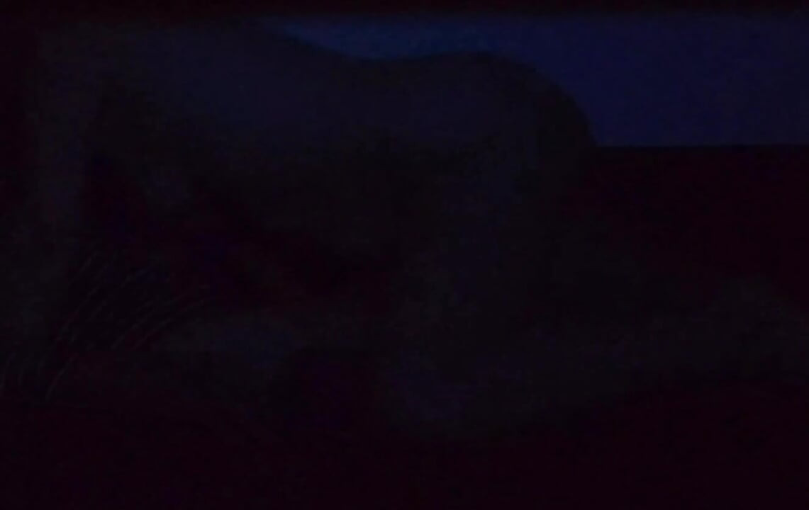 Married woman suck my cock part II Udata dudla