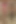 Ayaklar büyük ayaklarla kavga ediyor dev kız tarafından aşağılama oğlan
