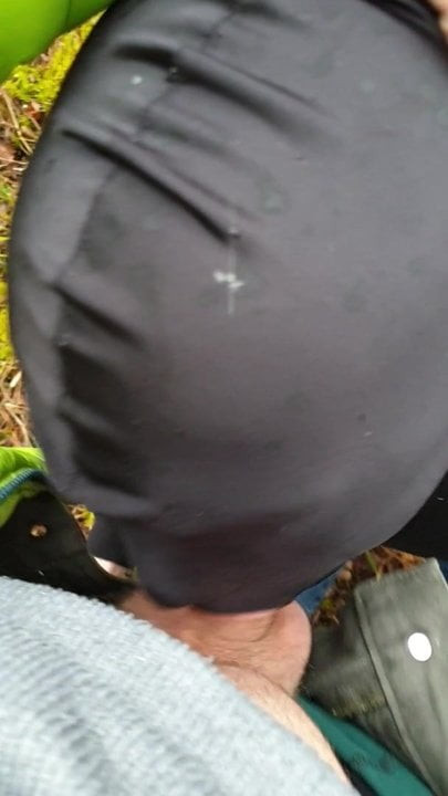 Blowjob in the Woods
