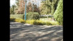 Pratonton Video