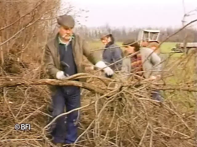 Farmers appetite 1