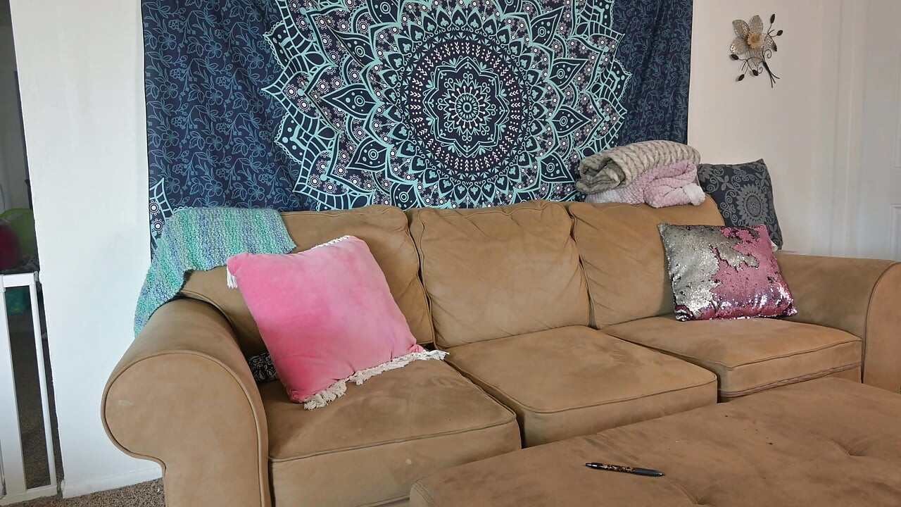 การสร้างแบบจําลองทางตูด