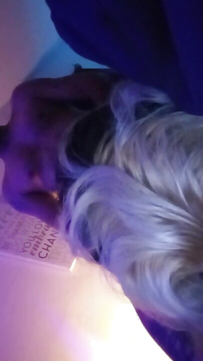 dogi phes