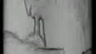 Chupando pau de stephens (vídeo erótico experimental)