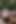 Crystal-wells: Crystal Wells Scene with Tomas by the Pool Filmed From Camera 2