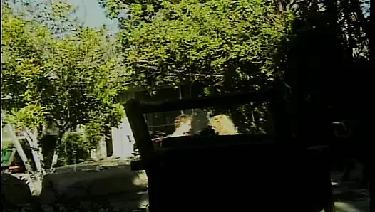 Klassische blonde milf im freien hart genagelt