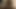 Cheating Couple Seduce and Show off Vibrator Masturbation