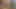 Ladyboy cum while getting fuck