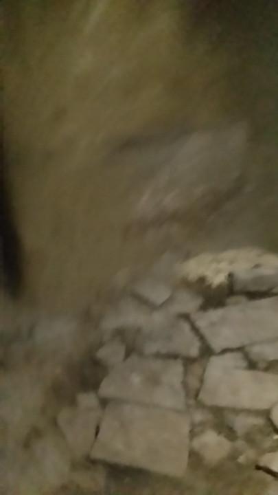Xxx sex videos