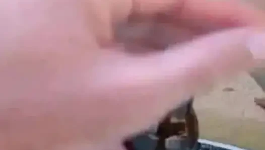 Petualangan Brandon di kolam renang