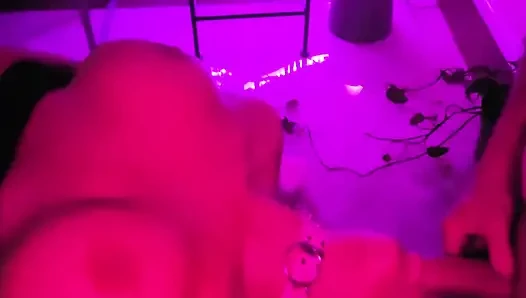 Pretty Party Smokey Kitty