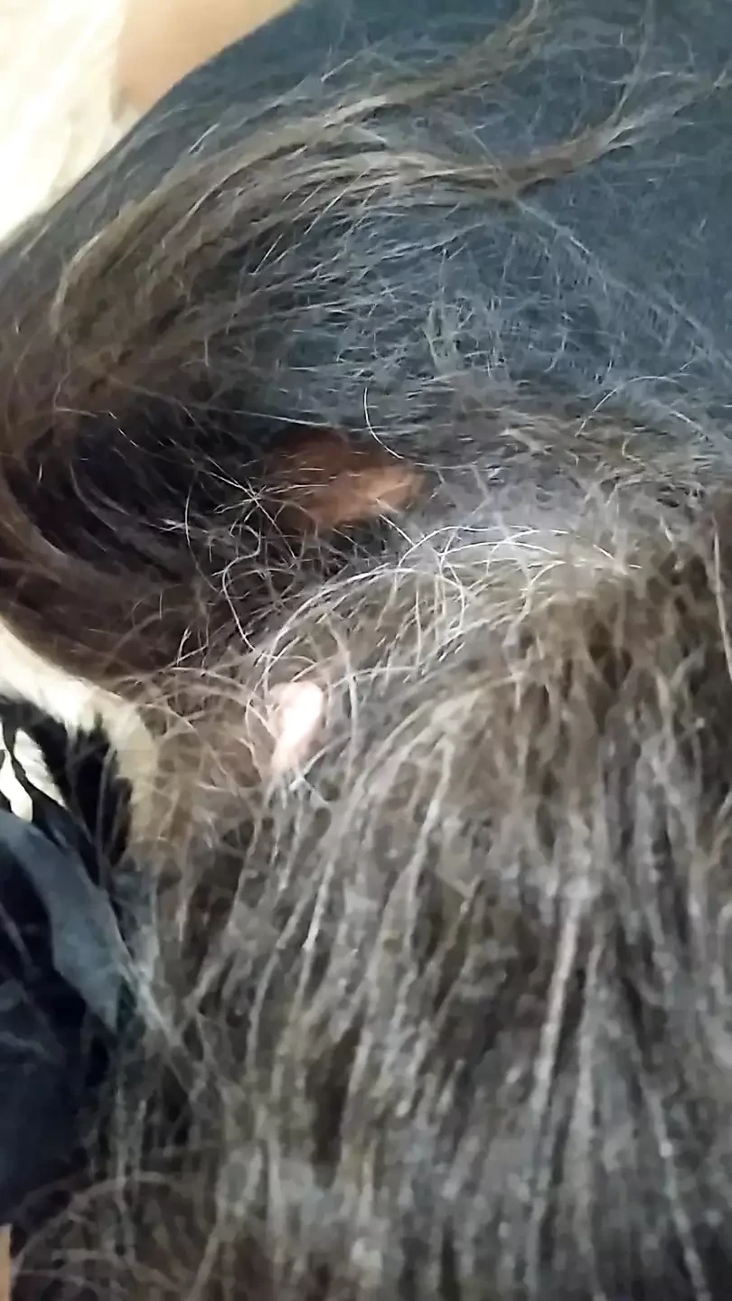 Close up of her pussy and ass, she pleasures herself