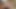 Japan bear threesome in the kitchen (pixelated)