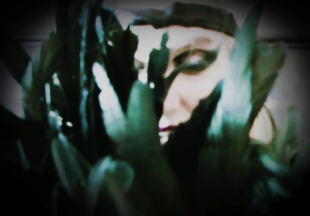 在我的效果下被洗脑