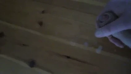 Küçük boşalma