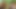 Aku kepergok ngentot cewek rambut merah ini - cewek ekshib perancis amatir poilue joi soft dom se dildo dans la forêt