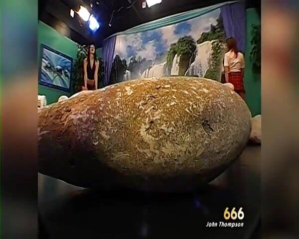Sluts Get Pissed on and Facialed Hard in Bukkake Orgy