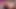 Bunny porn video – Bunny Blowjob, Doggy Fuck and Anal Play with Buttplug!