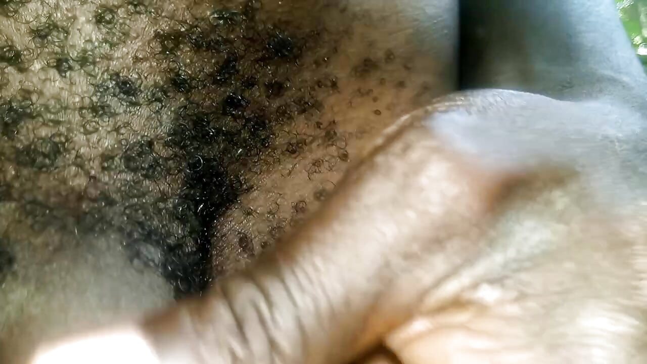 Travel bush