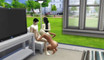 Pregled videozapisa