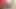 Blonde milf Gwenn uses everything to get a heavenly climax
