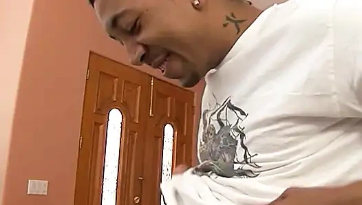 Горячую черную киску в чулках-сеточках жестко трахнул большой черный член